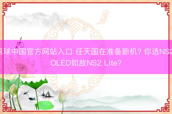 滚球中国官方网站入口 任天国在准备新机? 你选NS2 OLED如故NS2 Lite?