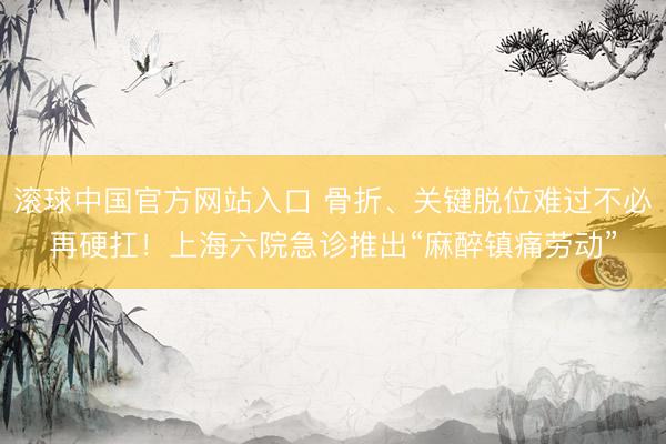 滚球中国官方网站入口 骨折、关键脱位难过不必再硬扛！上海六院急诊推出“麻醉镇痛劳动”