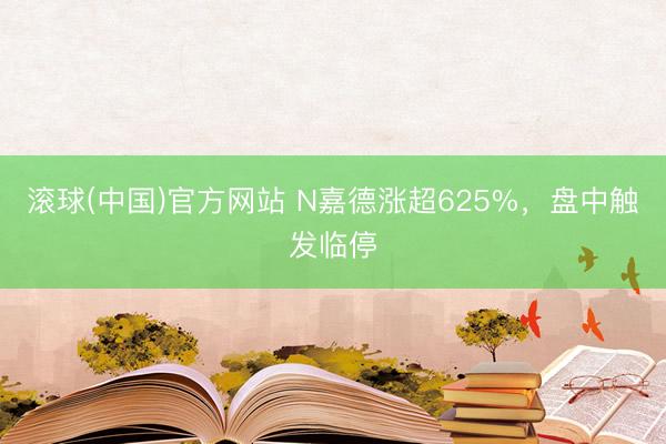 滚球(中国)官方网站 N嘉德涨超625%，盘中触发临停