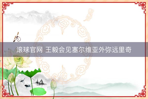 滚球官网 王毅会见塞尔维亚外弥远里奇