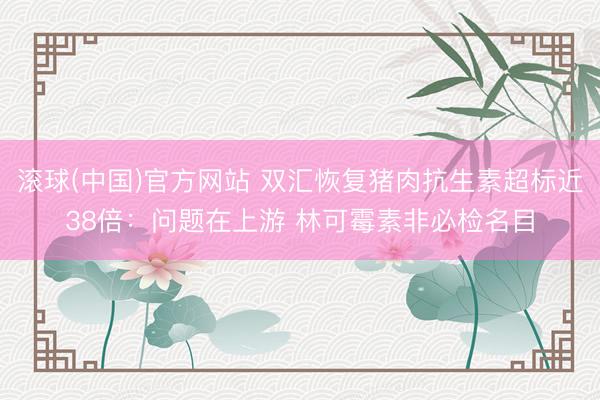 滚球(中国)官方网站 双汇恢复猪肉抗生素超标近38倍:问题在上游 林可霉素非必检名目