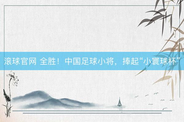 滚球官网 全胜！中国足球小将，捧起“小寰球杯”