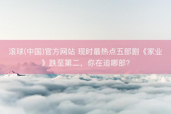 滚球(中国)官方网站 现时最热点五部剧《家业》跌至第二,你在追哪部?