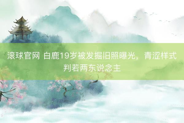滚球官网 白鹿19岁被发掘旧照曝光，青涩样式判若两东说念主