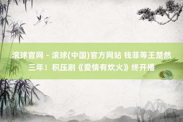 滚球官网 - 滚球(中国)官方网站 钱菲等王楚然三年!积压剧《爱情有炊火》终开播