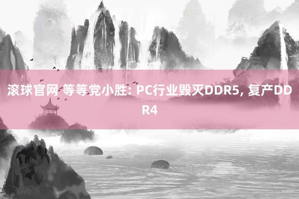 滚球官网 等等党小胜: PC行业毁灭DDR5, 复产DDR4