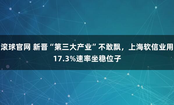 滚球官网 新晋“第三大产业”不敢飘，上海软信业用17.3%速率坐稳位子